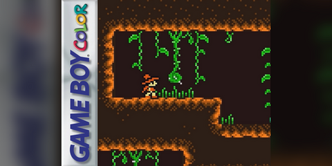 Goudall screenshot